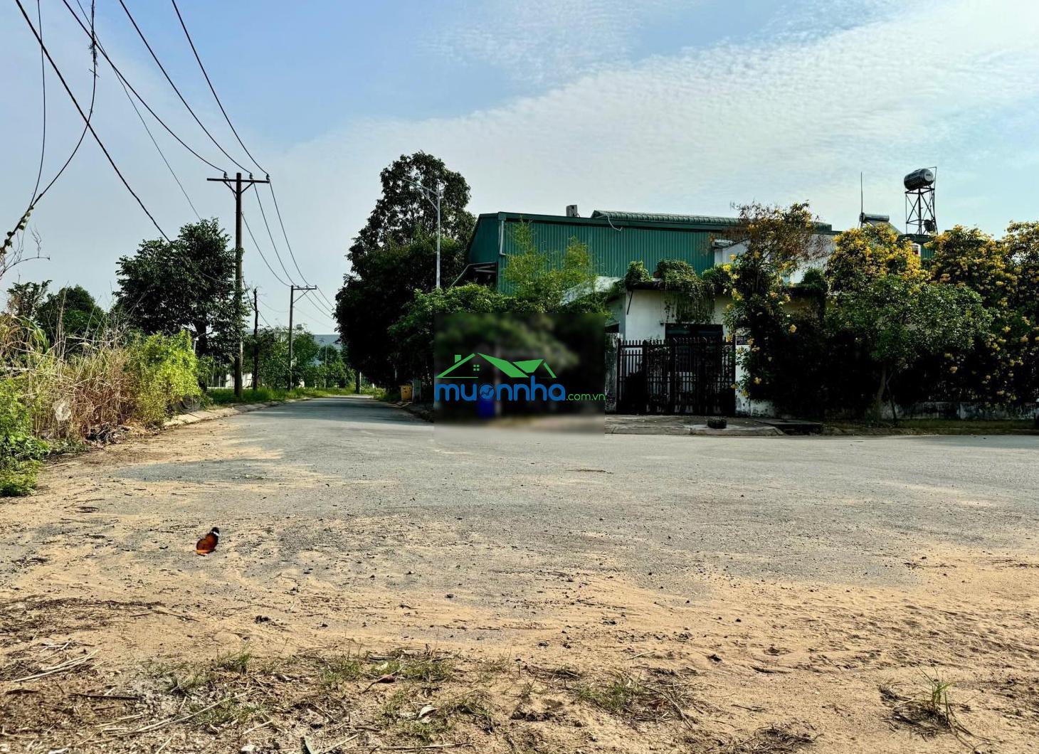 240m² (11 x 23m), góc 2 mt đường 10m - view sông sg, giáp tp. hcm - thông ql 13, chợ đầu mối - 4