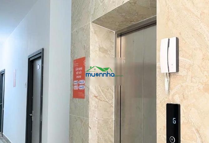 Bán chdv 2mt mới xây 5 tầng 37p 220m² dòng tiền 175 triệu/tháng ở ngã tư gò mây bình tân - 3
