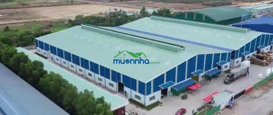 Kho xưởng cho thuê khu công nghiệp tân đông hiệp, dĩ an, bình dương, dt: 10,000m2 - 2