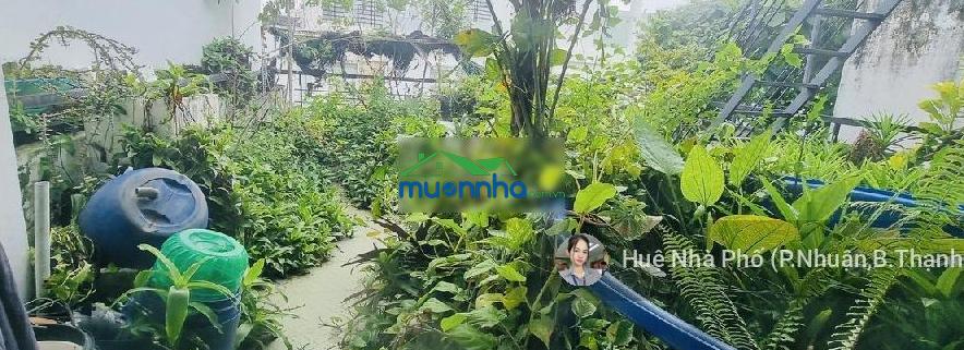 Hẻm ô tô - 81m2 - có pn trệt - huỳnh văn bánh, phú nhuận - nhỉnh 11 tỷ - 4