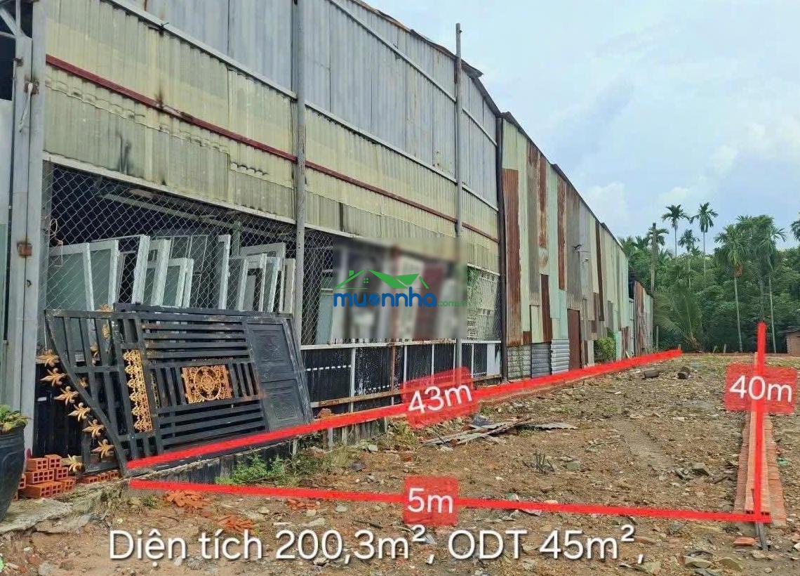 Kẹt bán đất mặt tiền hồ văn mên, thuận an | 200m2 vừa ở vừa kd - 3