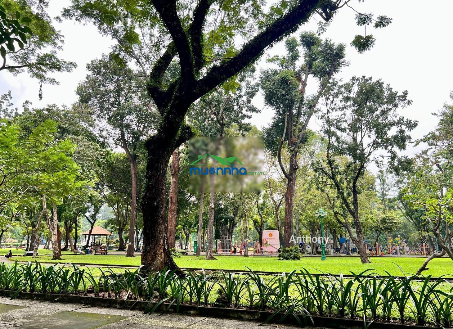 Ngang lớn 7m hxh - hai bà trưng. kv đông khách nước ngoài, phù hợp vừa kinh doanh và chdv, 23 tỷ - 3