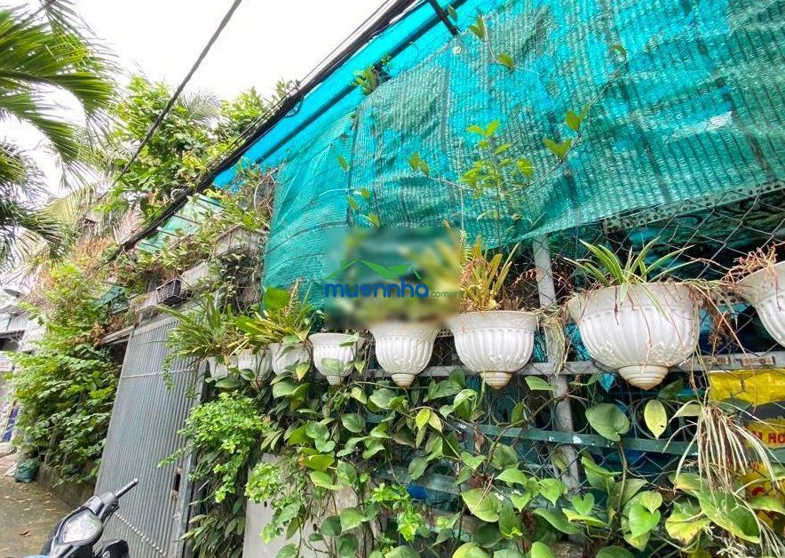 Nhà xây biệt thự vườn trung tâm quận 7, 142,3m2 chỉ 51tr/m2 ngang 11,5m, thực tế 14m giá nhỉnh 7 tỷ - 4