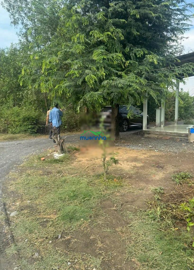 Chủ cần bán rẻ nhà 650m2 thổ cư giá 4.5 tỷ xã hưng long - 2
