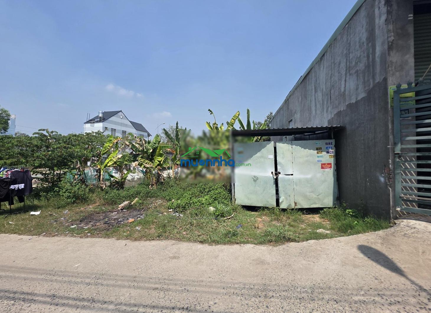 Đất kdc hố lang gần ngã tư liên huyện, phường tân bình, tp. dĩ an - 3