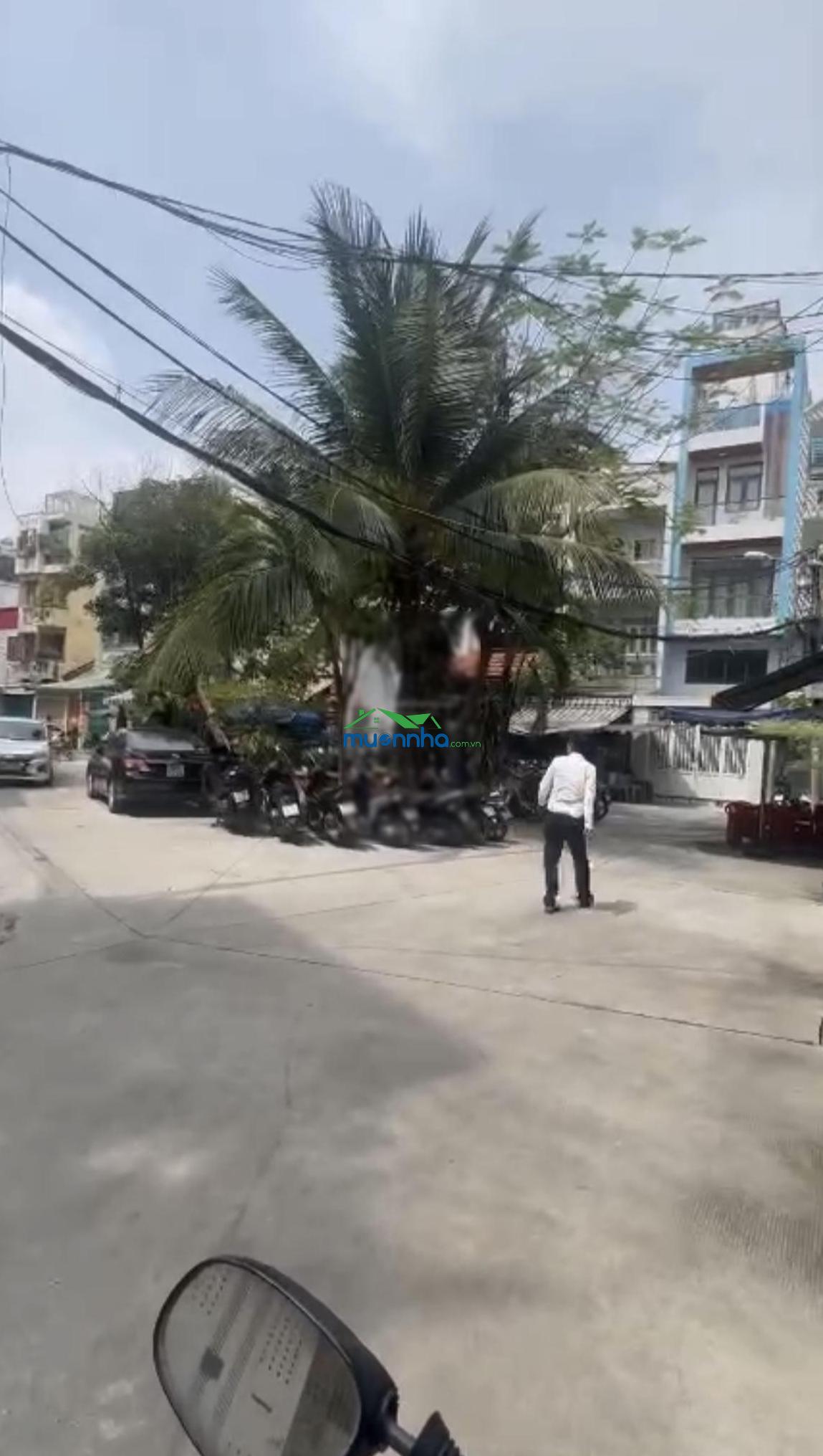 Bán nhà hẻm xe hơi mặt tiền công viên nội bộ lê quốc hưng - 2