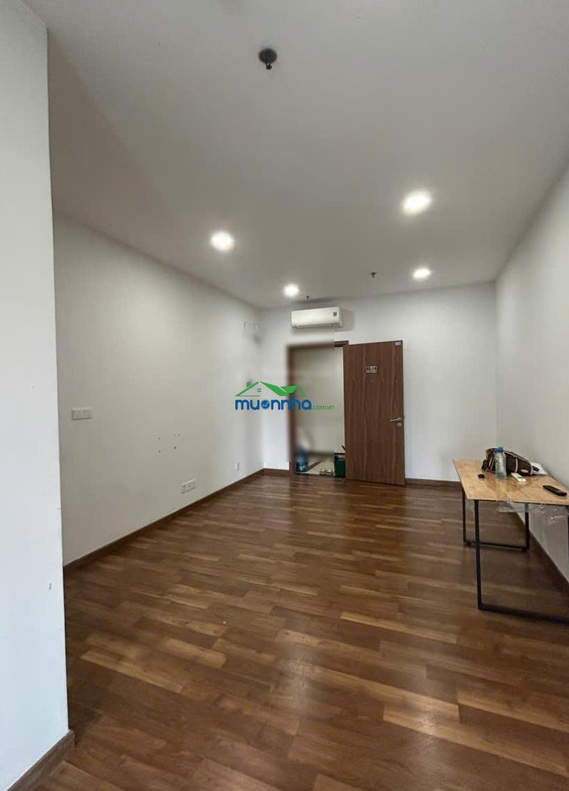 Cho thuê căn hộ pegasuite 1, dt: 35m2