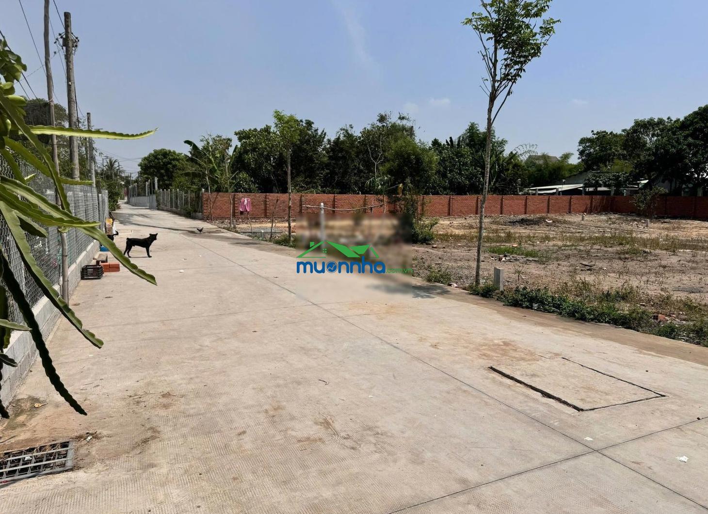 Nhà riêng bán tại nguyễn thị thôn, phú hòa đông, củ chi 1,6 tỷ, 125m2 đẹp, nhiều tiện ích - 3