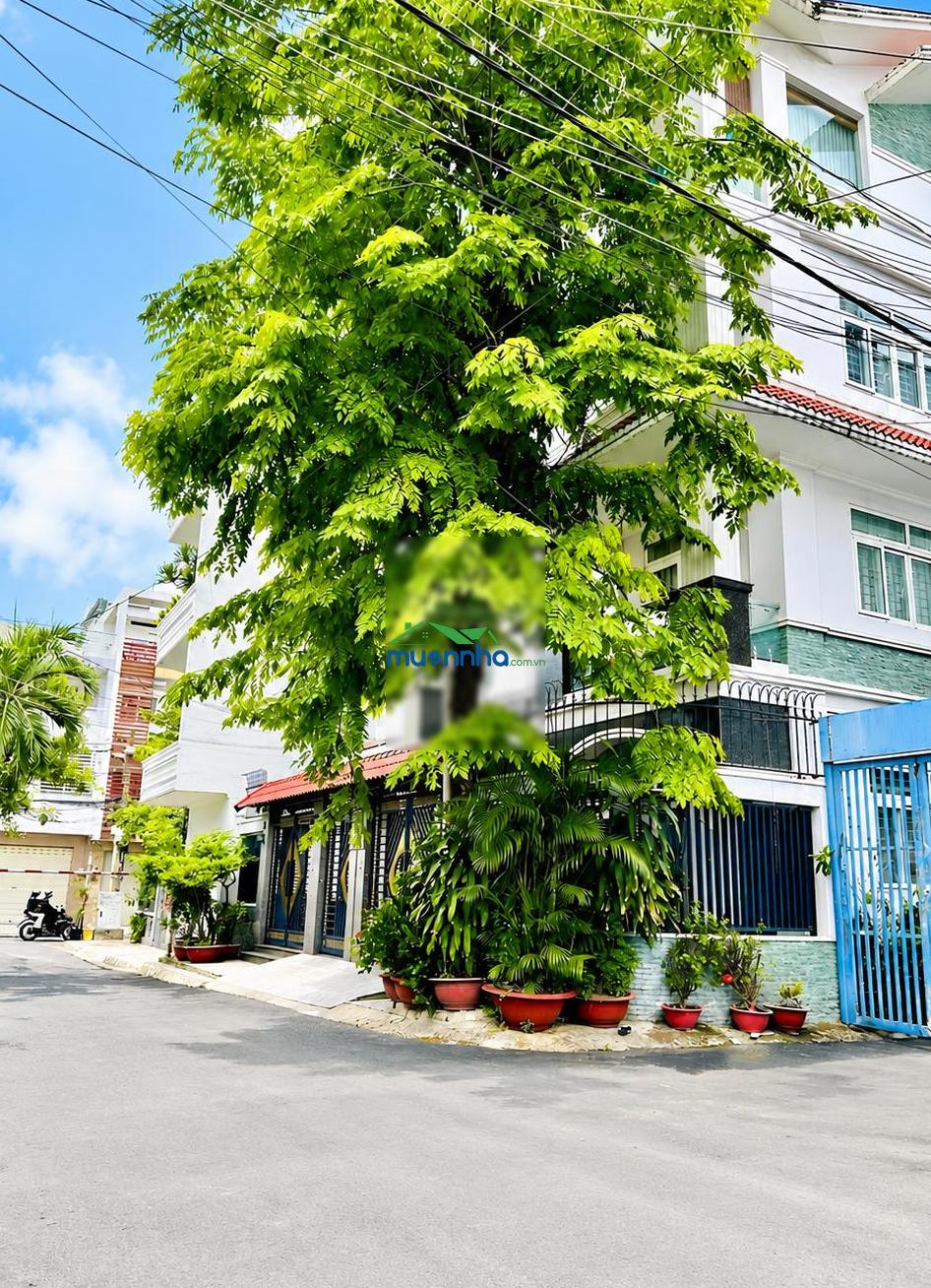 Lô góc, view công viên trước nhà, thoáng mát cả ngày, ở mê - 2
