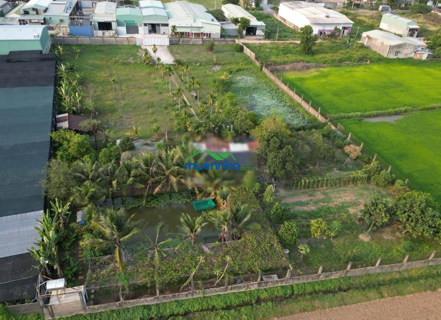 Nhà ở khu nghỉ dưỡng cho giới siêu giàu - xuân thới sơn - hóc môn, 6300m2 - 4