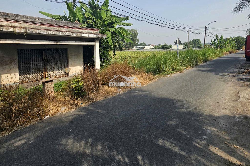 Bán nhà ngay tân thông hội, dt 210m2, full thổ, giá: 630 triệu, shr - 4