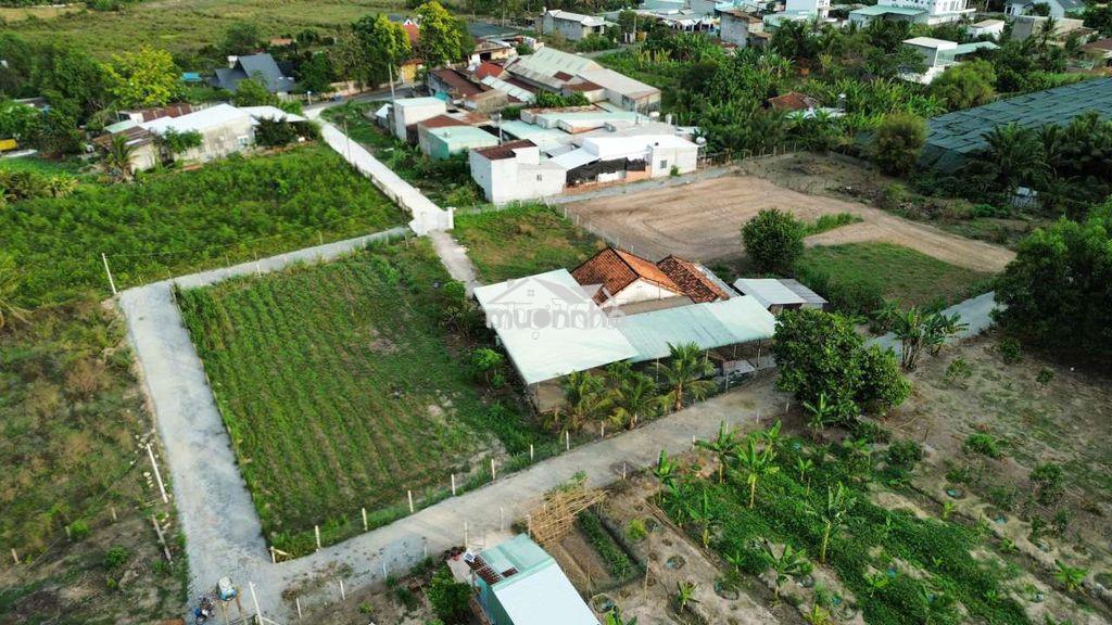 Bán gấp 2230m2. nhà 3mt.thị trấn củ chi giá siêu rẻ.45x48 300m2 tc - 2