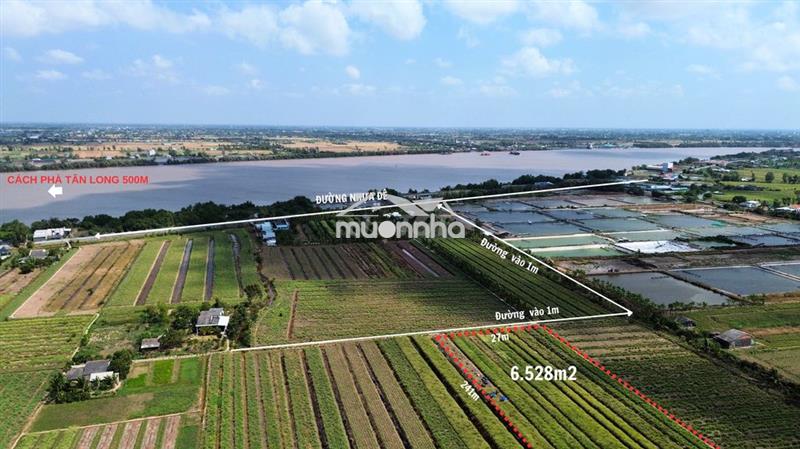 🌿 Bán đất trồng sả phú thạnh – 6.528m² – 190tr/công