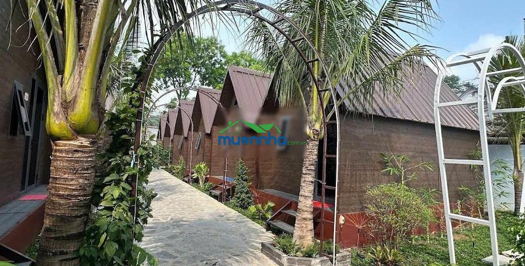 Bán quỹ đất lớn- tp thủ đức. dt 1426m2 - cách mt lê văn việt 300m - dòng tiền 150tr/th -giá 55 tỷ - 3