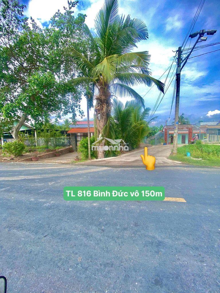 Đất vườn đẹp xát nhựa 816 đường xe tải mét ở bình đức tây ninh - 2