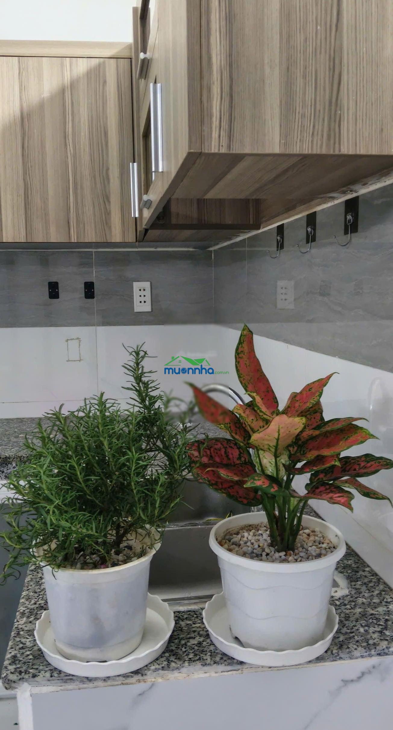 Bán nhà đẹp ngay cầu ông dầu sau lưng bún bò bà ba - Ảnh 2