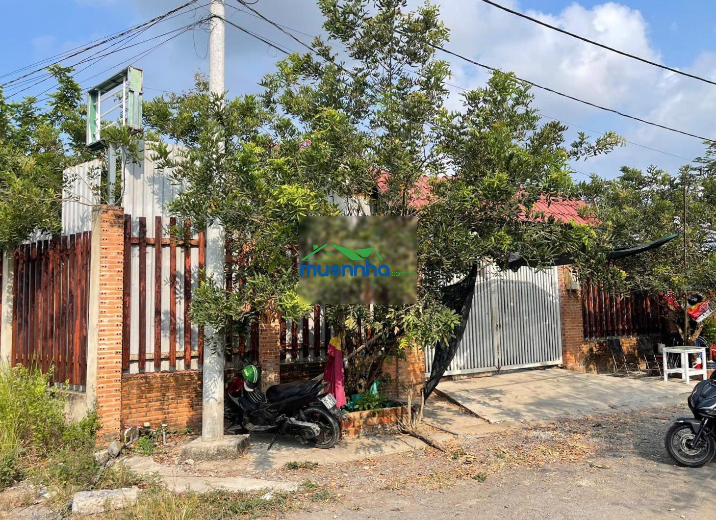 Siêu phẩm nhà vườn hơn 1.400m - lô góc 2 mặt tiền chỉ 11 tỷ - 2