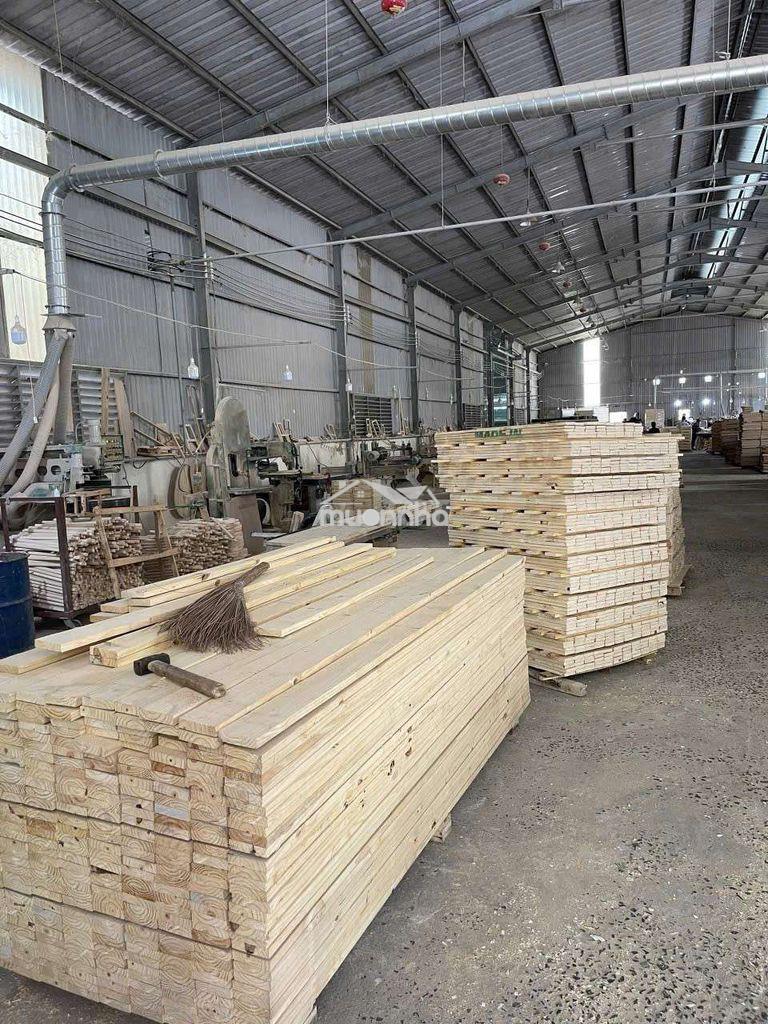 Bán rẻ 5000m2 kho, nhà xưởng p.phước tân, biên hòa, tp đồng nai (x113) - 2