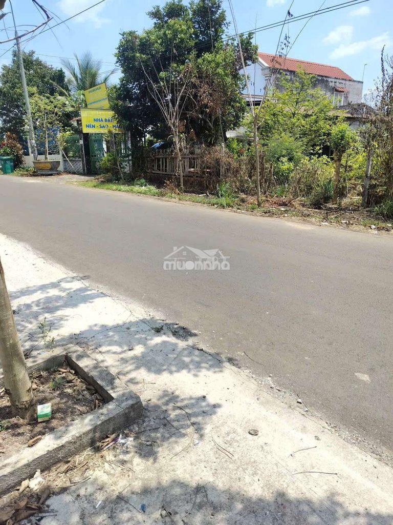 Mặt tiền ngô quyền - thổ cư 100% - kinh doanh ngay - 3