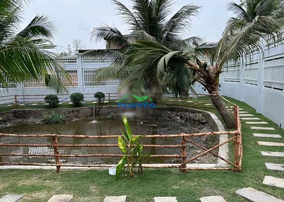 Chính chủ cắt lỗ 300 triệu bán nhanh trong tuần nhà vườn 12x18m shr gần chợ bình điền đường ô tô - 2