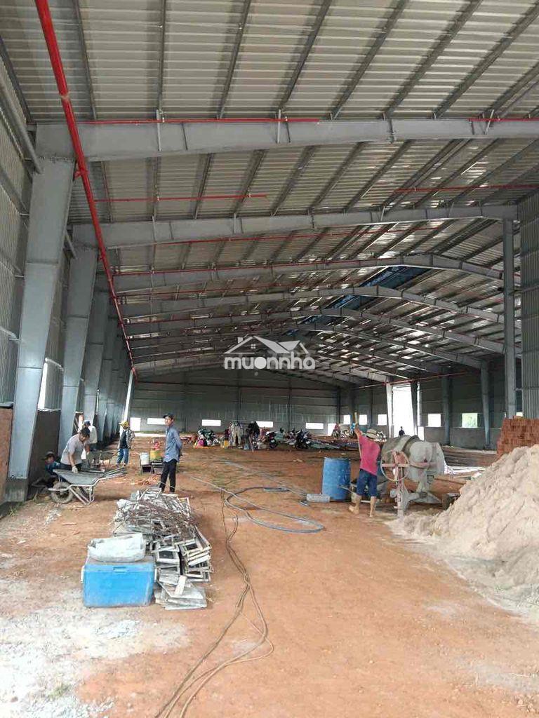 Cho thuê kho xưởng bình dương- ngay khu công nghiệp an lập dầu tiếng - 4