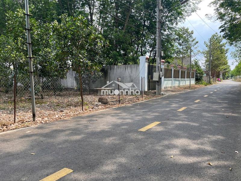 Chủ ngộp bán vườn mít 5x50=250m2, shr, thổ cư, ngay tthc, giá 420tr