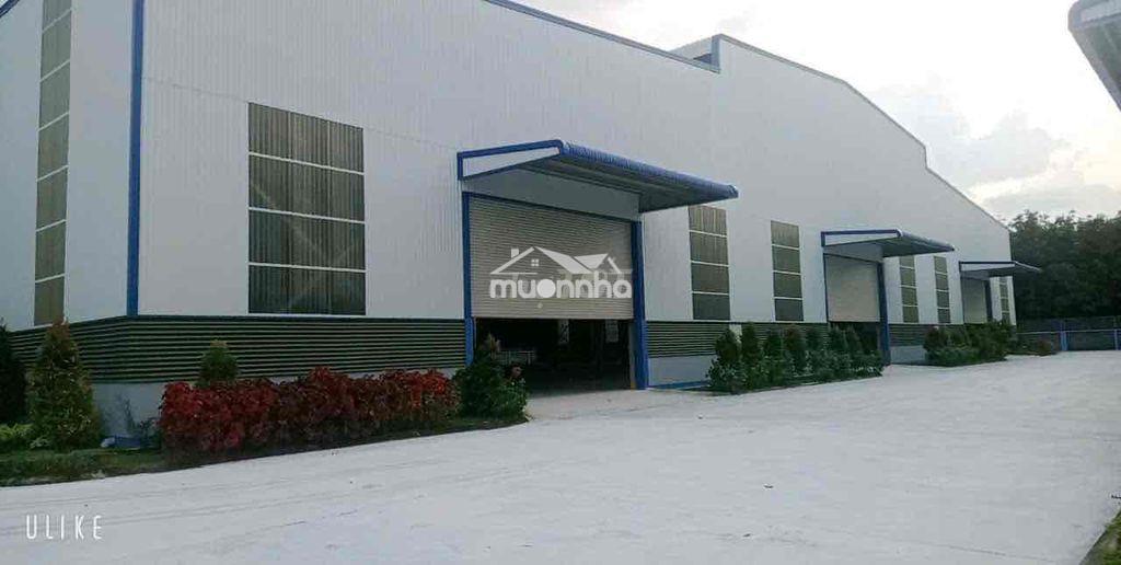❇️Cho thuê xưởng 6000m bàu bàng - 3