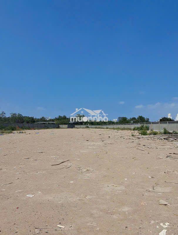 Cho thuê đất nguyễn hữu thọ – 5.500m2 – làm bãi xe, tập kết hàng - 2