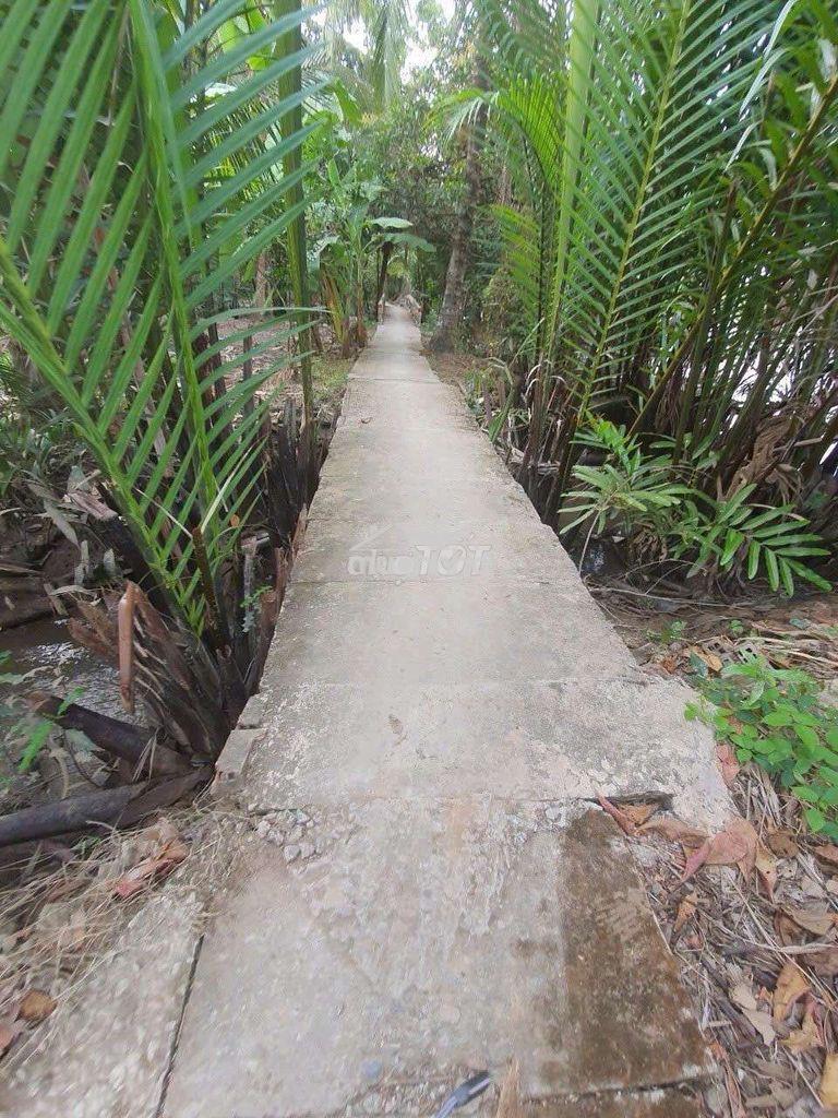 Đất mặt tiền sông đương đi ngan đất - 4