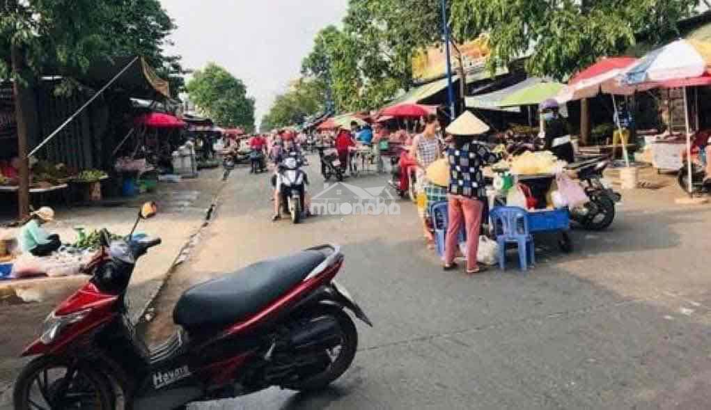 Thua cá độ bán đất *** - 2