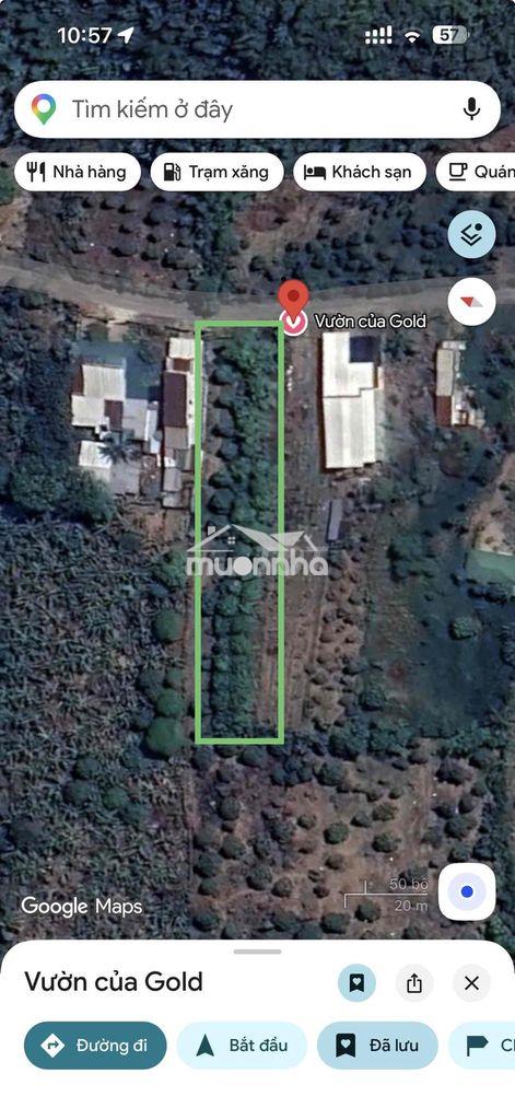 [ Tân phú-đồng nai] 1000m2 cần bán đường xe hơi - 3