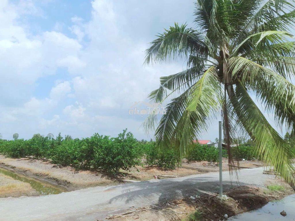 Chỉ 375tr sở hữu 540m2 đất vườn mai, chanh view kênh - 2