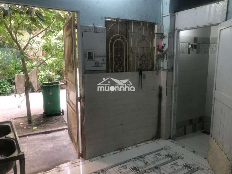 Phòng trọ trệt - có gác + sân thoáng, khu vườn lài