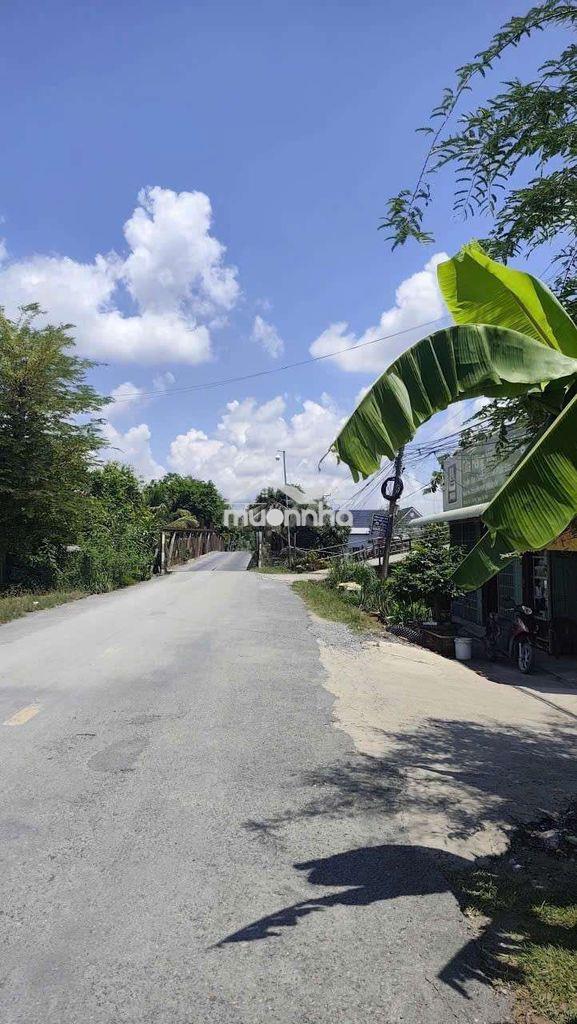 Bán đất thủ thừa chính chủ 244m2 giá 385tr - 3
