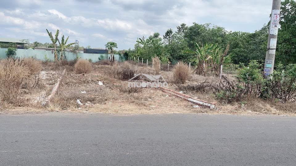 🚀Đón sóng đồng nai tp trung ương, phường dầu giây 105m² thổ cư/430 tr - 4