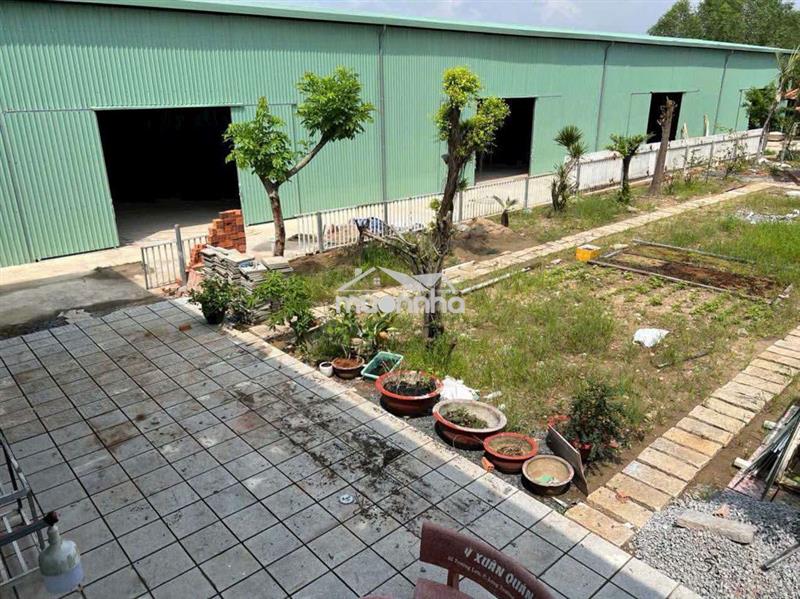 Xưởng phú chánh 600m giá 20 triệu xưởng mới 100%