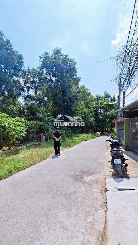 1,550 tỷ sở hữu nhà lầu rộng rãi tại kdc bửu hòa, biên hòa - 3