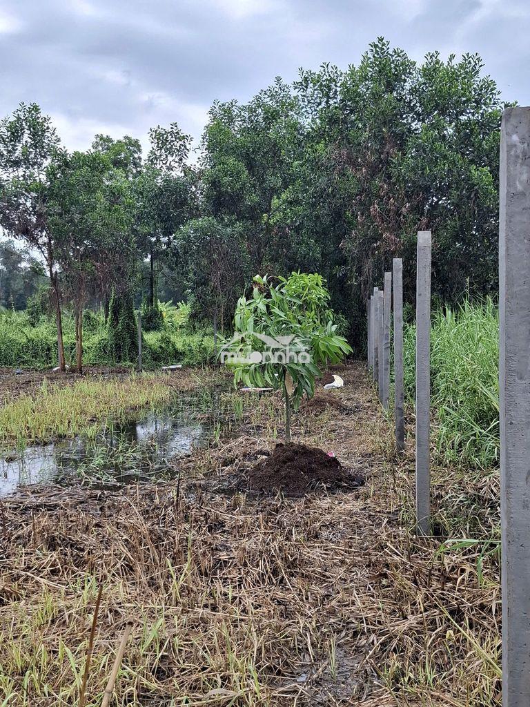 Bán đất xã lê minh xuân, bình chánh gần đường vành đai 3, giá 2.8tr/m2 - 4