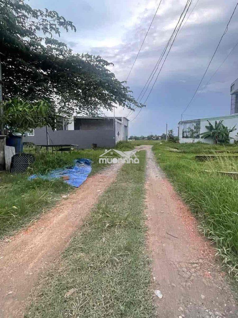 Đất mỹ hạnh nam, tương lai là mặt tiền đường động lực (5x38) - 3