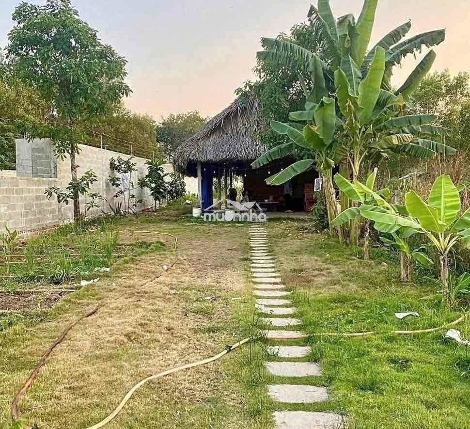 Bán gấp - 2