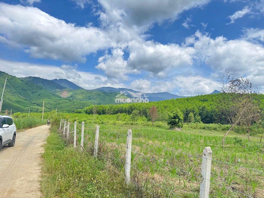 Lô đất 190 triệu - xây nhà tạm ở và làm vườn - 2