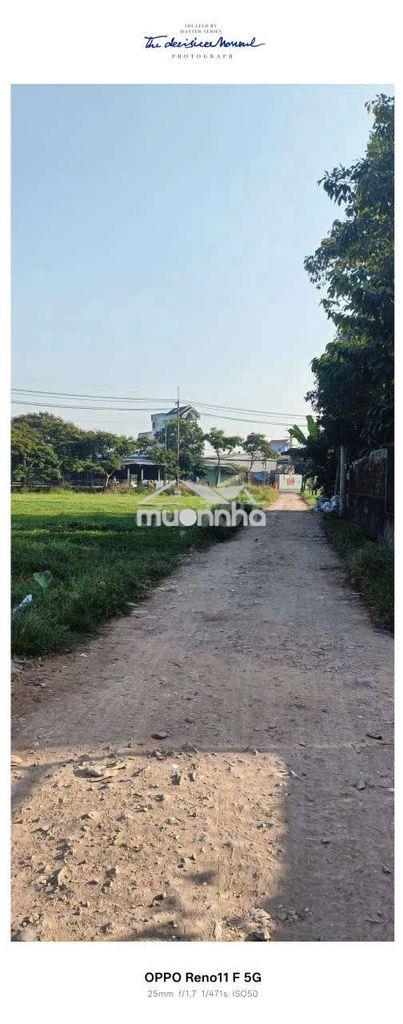 Nhà thuê sơn mới 4-20 đường lại hùng cường vĩnh lộc b bình chánh phcm - 4