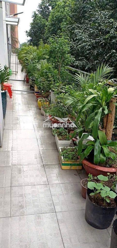 Bán căn hộ ruby celadon city 2pn 2wc có bancong - 4