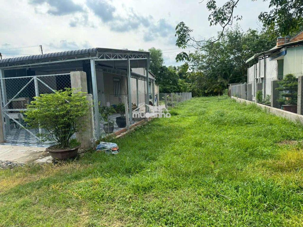 366 m2(100m2 thổ) trảng bàng giá 600tr - 2