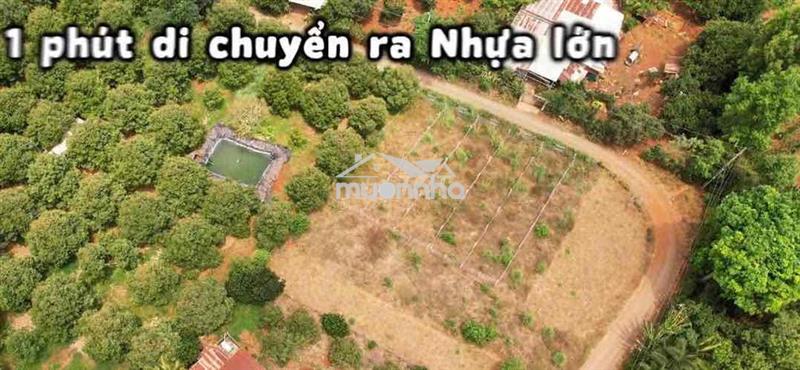 499tr đất full thổ cẩm mỹ đồng nai