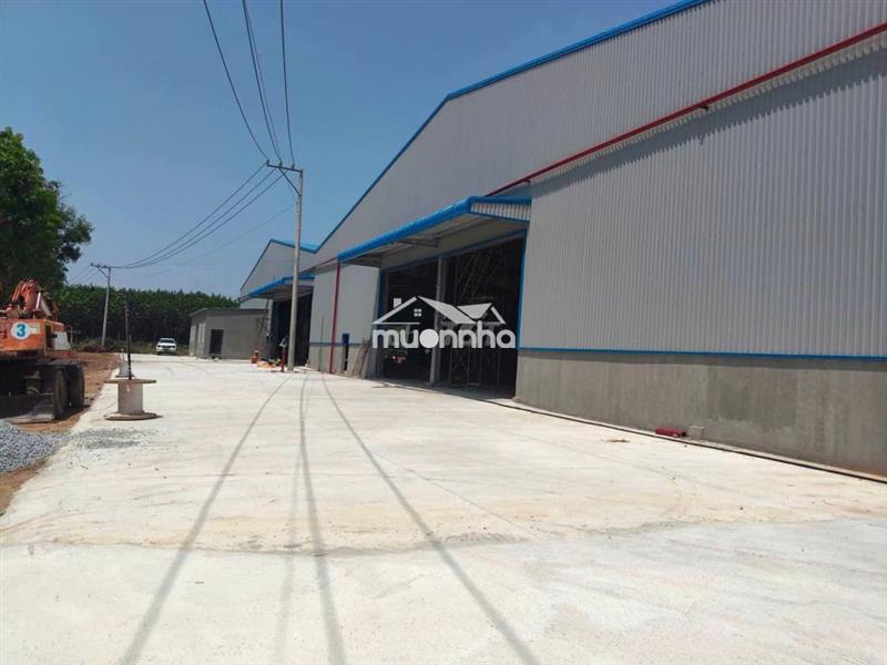 Cho thuê  xưởng phú giáo bình dương hồ chí minh diện tích :9000m2