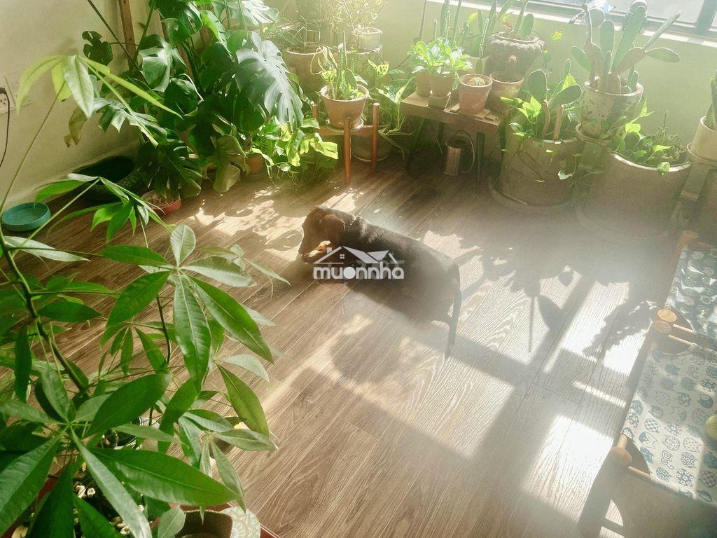 Ưu đãi tháng 6 cchủ bán ch flora mizuki hướng đông view q1 sổ hồng - 3