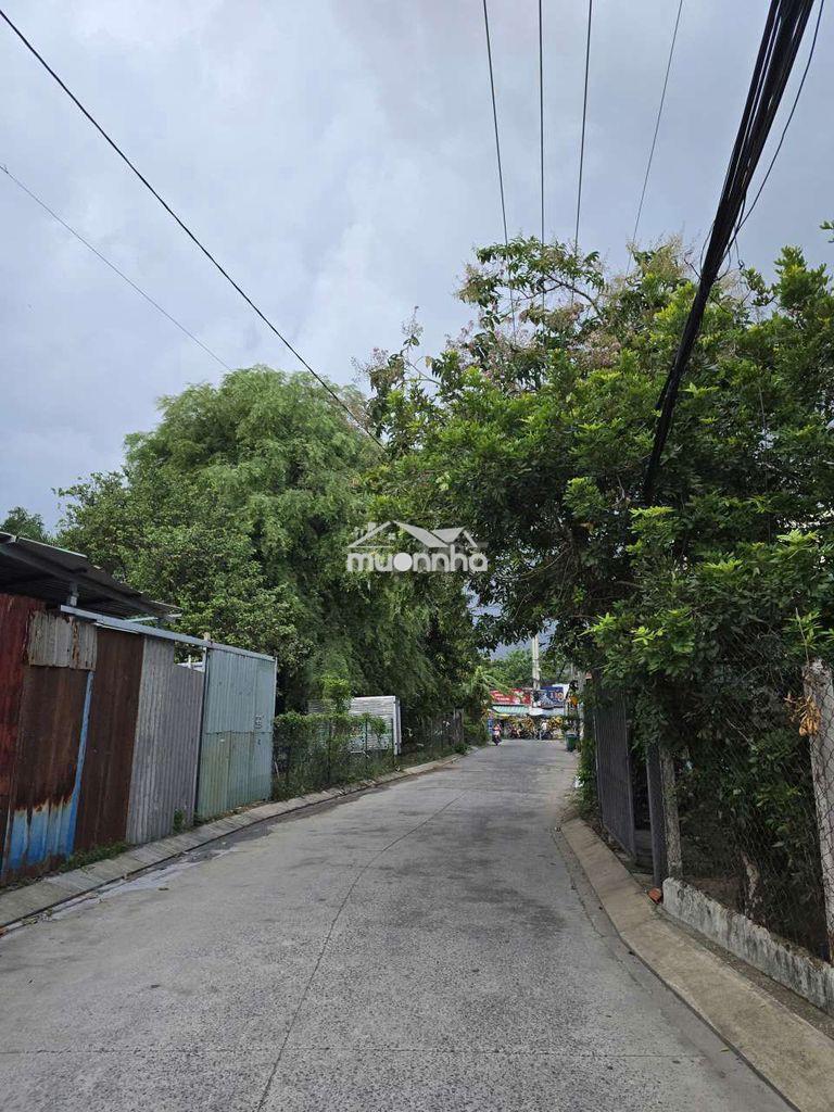 Hơn 2ty mặt tiền shr đt 3-2 4x16 ấp 2 nhựa 6m thông ra huỳnh thị na - 2