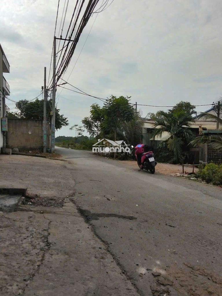 Kho thuê 300m. đường võ văn vân vĩnh lộc b bình chánh tphcm. - 4