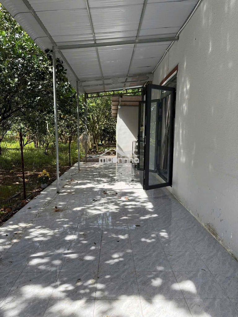 Đất vườn 2000m2 có nhà cấp 4 giá 1 tỷ bảo vinh long khánh đồng nai - 4